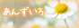 あんずいろapricot×color あんずいろapricot×color